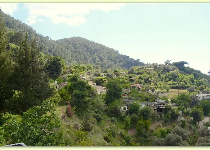 كاييف موتيل